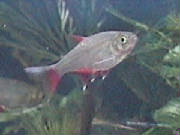 bft00_00013_1.jpg