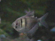 bt00_00031.jpg