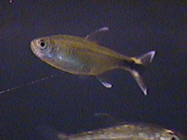 00_00038.jpg