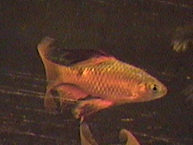 00_00041.jpg